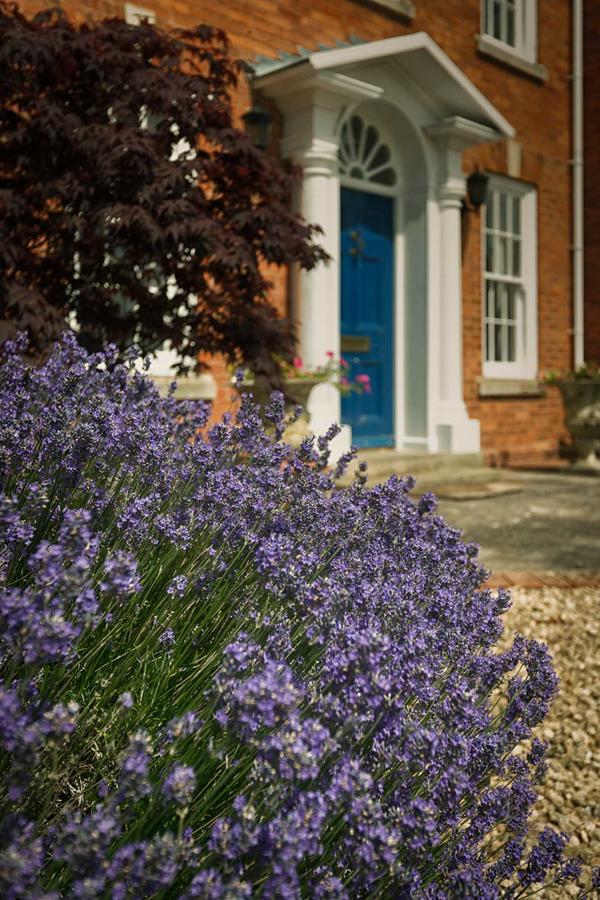 Bed and Breakfast Alne Park Great Alne Exterior foto